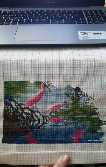 Этап процесса «Розовые пеликаныт (золотое руно)»