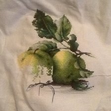 Процесс «№333»