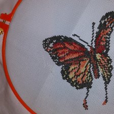 Процесс «№344»