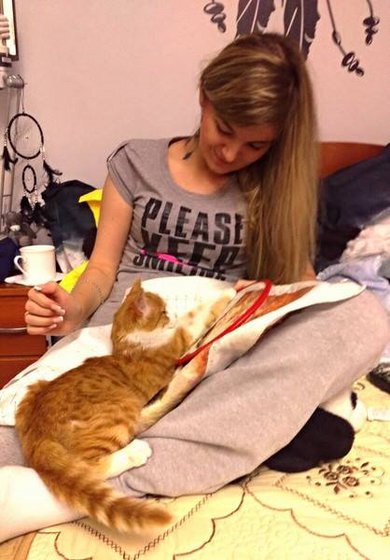 Этап процесса «№356»