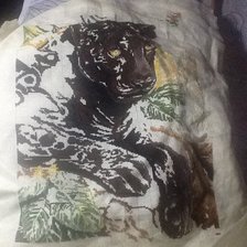 Процесс «леопард»