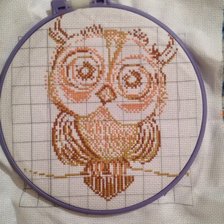 Процесс «Совушка2»