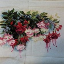 Процесс «Фуксия»