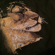 Процесс «Хранительница сна»