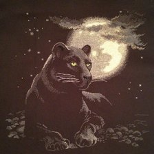 Процесс «Полнолуние»