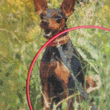 Процесс «Баська»