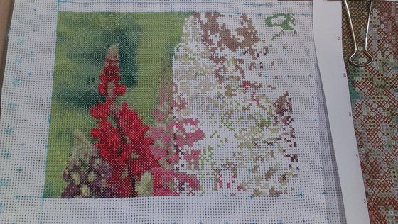 Этап процесса «Цветы садовые»