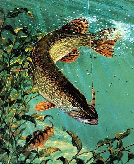 Этап процесса «Щука»