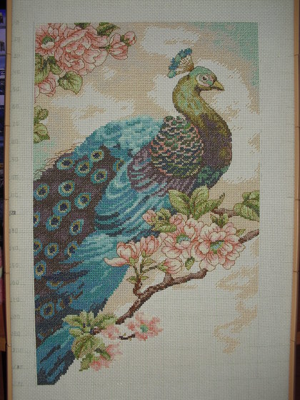 Этап процесса «Индийский павлин»