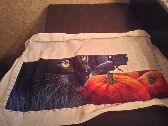 Этап процесса «Кошка от И. Гармашовой. Схема с этого сайта.»