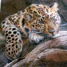 Процесс «Лапочка :)»