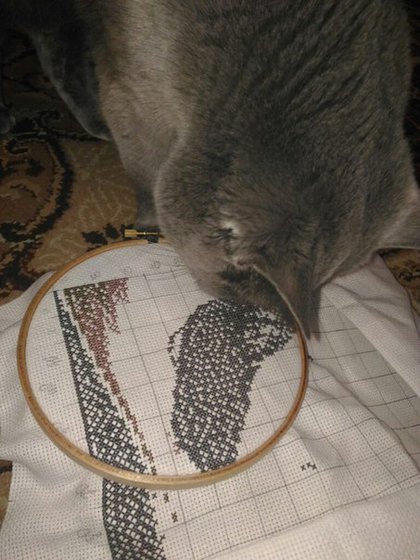 Этап процесса «Молодожены»