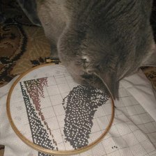 Процесс «Молодожены»