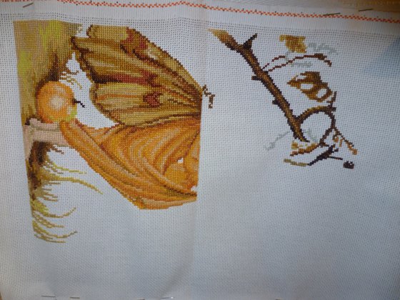 Этап процесса «Фея яблони, Luca-S»