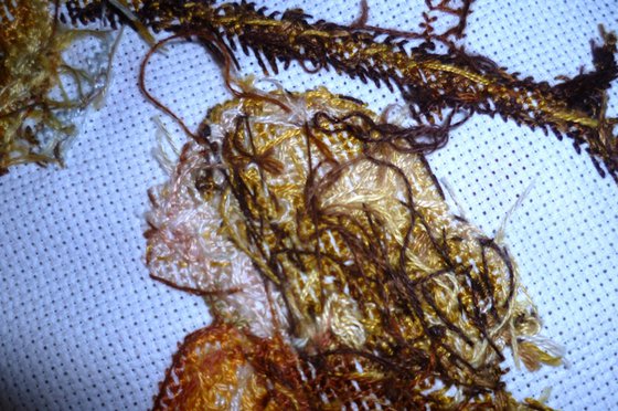 Этап процесса «Фея яблони, Luca-S»