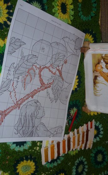 Этап процесса «Фея яблони, Luca-S»