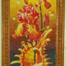 Процесс «Натюрморт Elein Meyer»