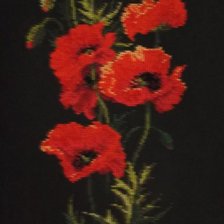 Процесс «Маки на черной канве»