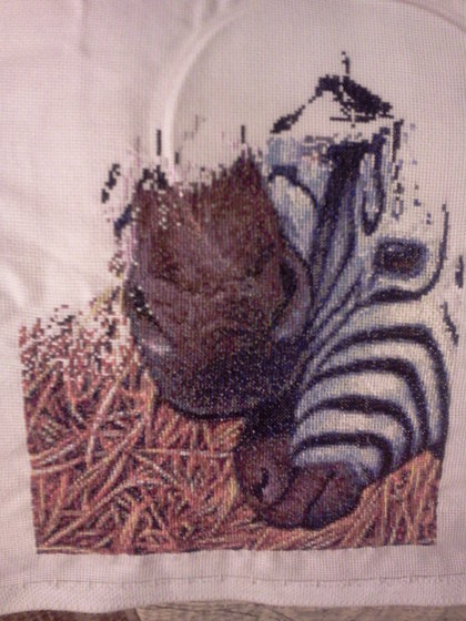 Этап процесса «Зебры»