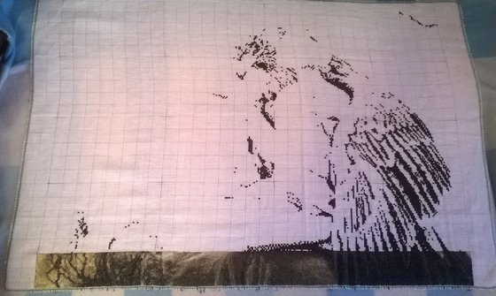 Этап процесса «Орёл и девушка»