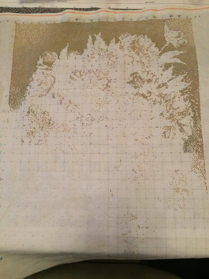 Этап процесса «Пионы»