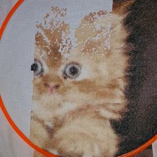 Процесс «№797»