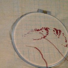 Процесс «Девушка нос-бабочка»