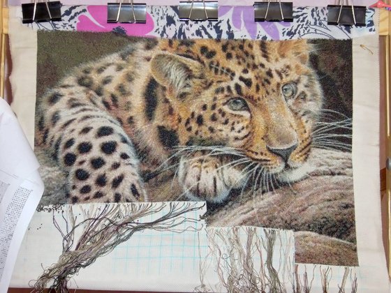 Этап процесса «Леопард»