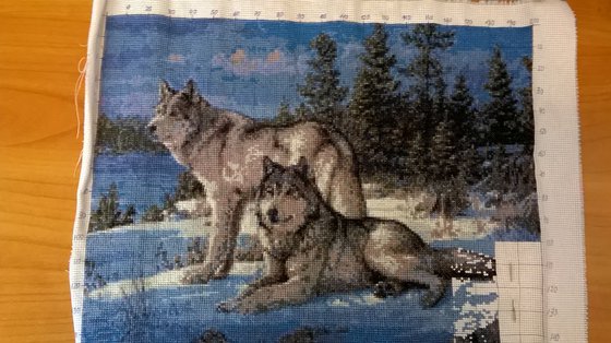 Этап процесса «Семейство волков»