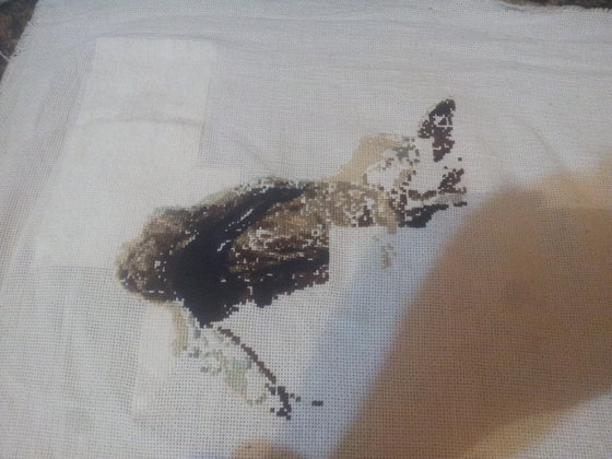 Этап процесса «наездница»