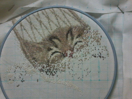 Этап процесса «Котенок в гамаке»