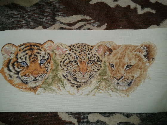 Этап процесса «Саванна. Кошачье семейство.»