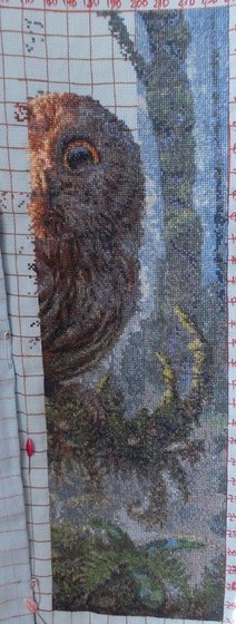 Этап процесса «Сова в лесу»