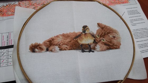 Этап процесса «Дружба»