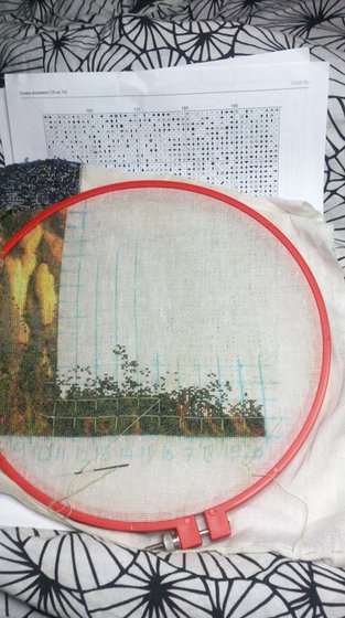 Этап процесса «little horse»