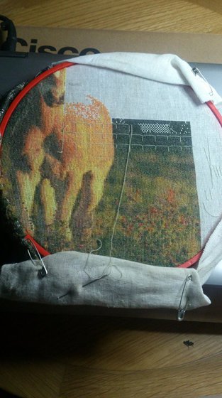 Этап процесса «little horse»