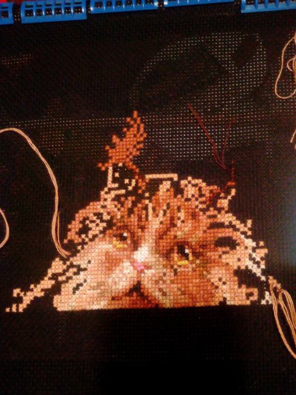 Этап процесса «Рыжий кот»