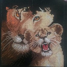 Процесс «Львица с львёнком.»