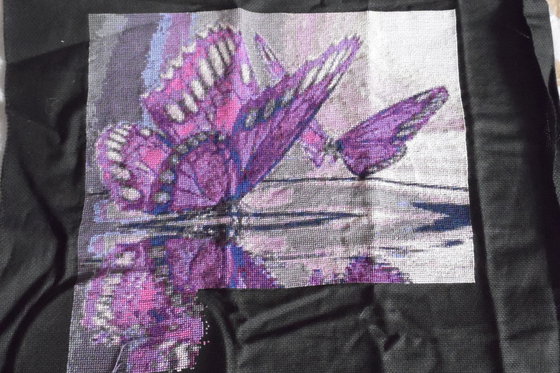 Этап процесса «Бабочки»