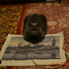 Процесс «№1069»