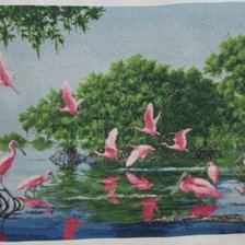 Процесс «Розовые пеликаныт (золотое руно)»