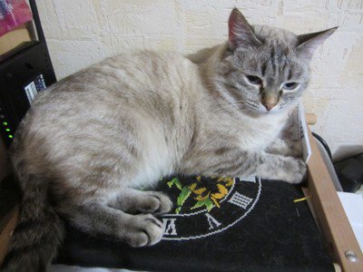 Этап процесса «Часы Белые лилии»