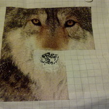 Процесс «Волк- ловец снов»