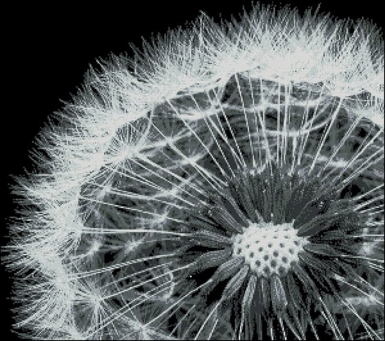 Этап процесса «Одуванчик»