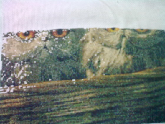 Этап процесса «Глазастики»