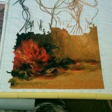 Процесс «Букет роз от Риолис»