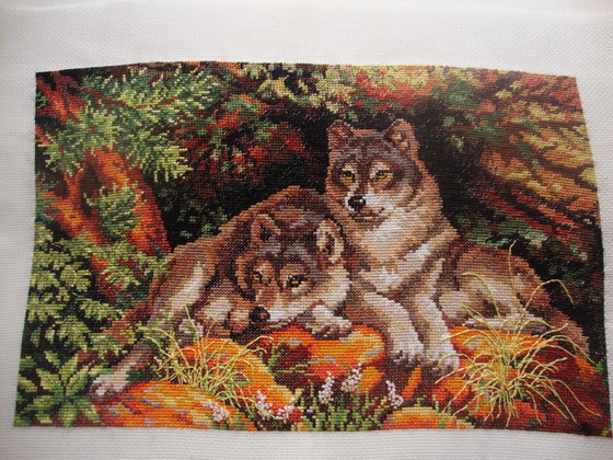 Этап процесса «Верность»