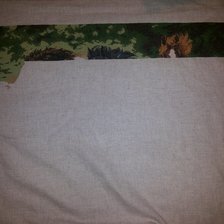 Процесс «Лошадки»