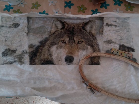 Этап процесса «Волк»