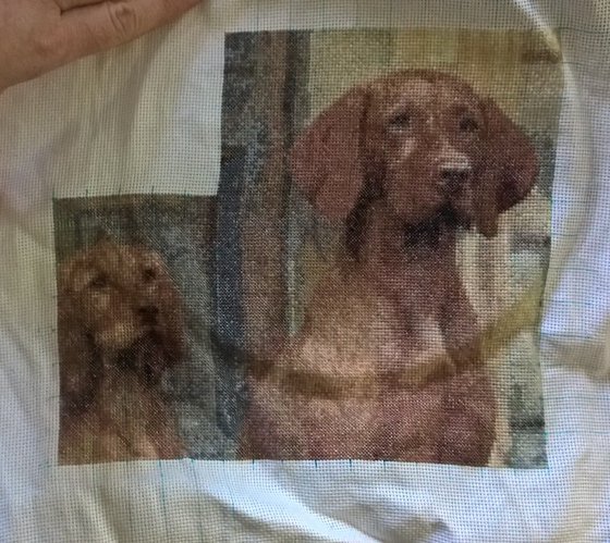 Этап процесса «Венгерские выжлы Хонда и Тесла»